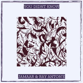 You Didnt Know by Ray Anton'e