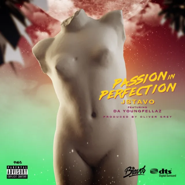 Passion in Perfection (feat. Da Youngfellaz)