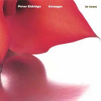 Stranger in Town by Peter Eldridge