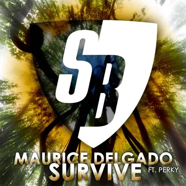 Survive - Original Mix