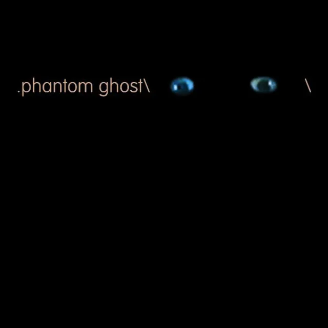 Phantoms And Ghosts