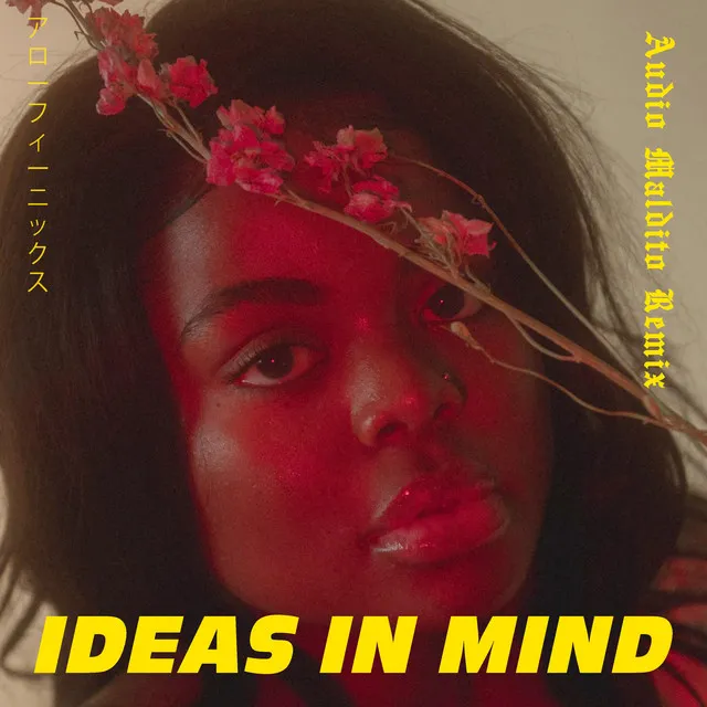 Ideas In Mind (AudioMaldito Remix)