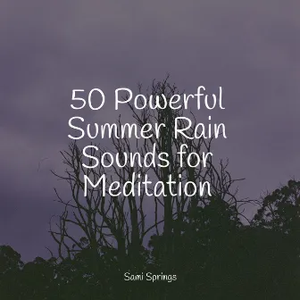 50 Powerful Summer Rain Sounds for Meditation by Regengeräusche