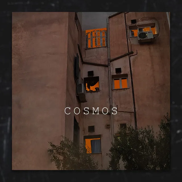 Cosmos