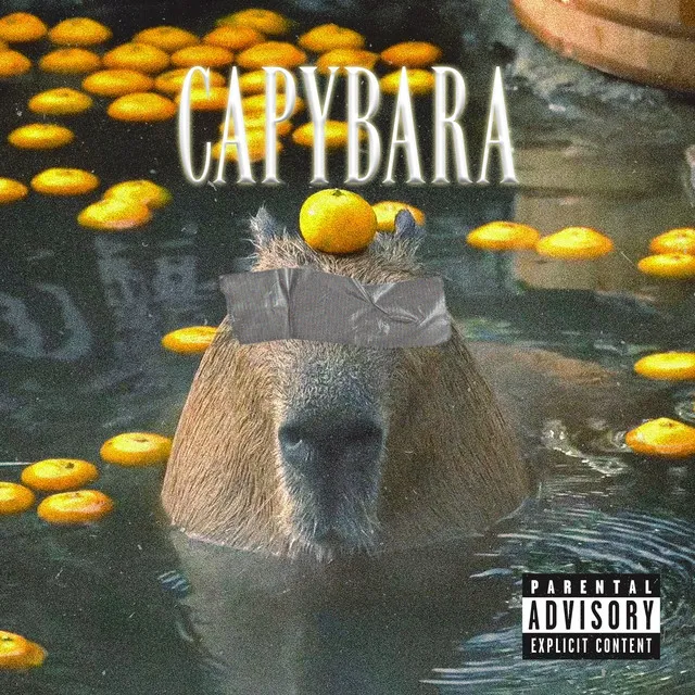 Capybara