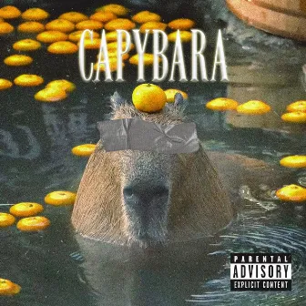 Capybara by NoTrust