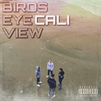 Birds Eye View by Cali