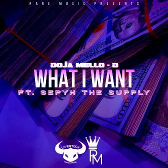 What I Want (feat. Sepyh The Supply) by Doja Mello-D