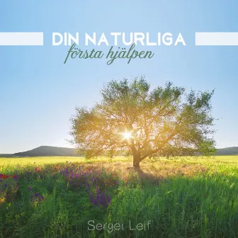 Din naturliga första hjälpen by Sergei Leif