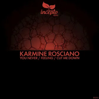 You Never / Feeling / Cut Me Down by Karmine Rosciano