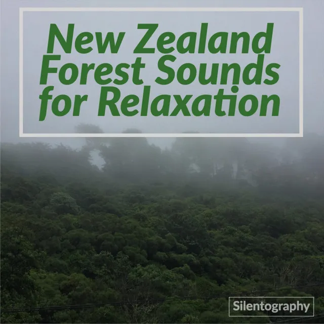 New Zealand Forest Sounds for Relaxation