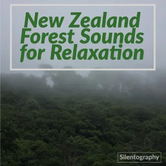 New Zealand Forest Sounds for Relaxation by Silentography