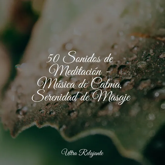 50 Sonidos de Meditación - Música de Calma, Serenidad de Masaje