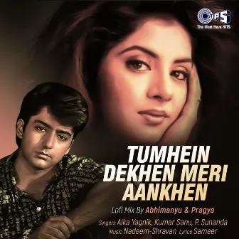 Tumhein Dekhen Meri Aankhen (Lofi Mix) by P Sunanda