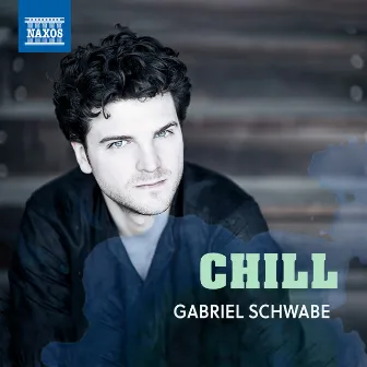 Chill by Gabriel Schwabe