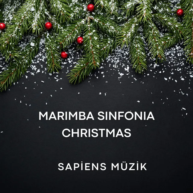 Marimba Sinfonia Christmas