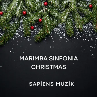 Marimba Sinfonia Christmas by Frederick the Great