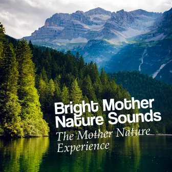 Bright Mother Nature Sounds by Unknown Artist