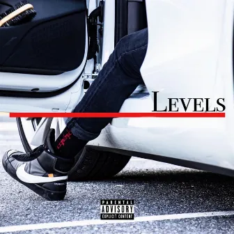 Levels by Dell Fargo