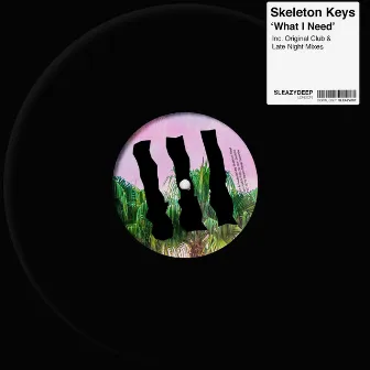 What I Need by Skeleton Keys