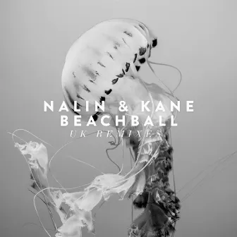 Beachball (UK Remixes) by Nalin & Kane