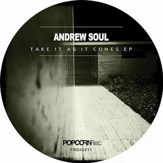 Take It as It Comes by Andrew Soul