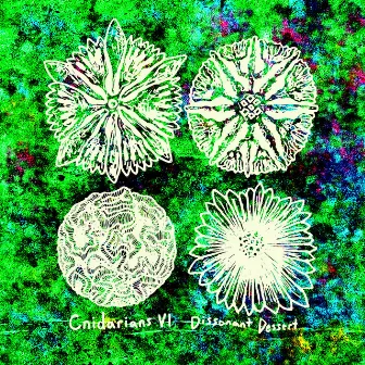 Cnidarians VI by Dissonant Dessert