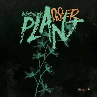 Plant by Dister