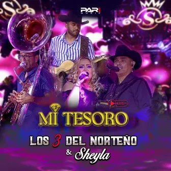 Mi Tesoro - En Vivo by Sheyla