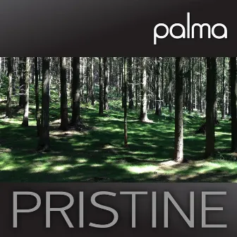 Pristine by Palma