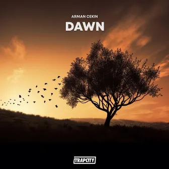 Dawn by Arman Cekin