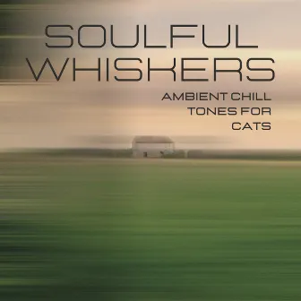 Soulful Whiskers: Ambient Chill Tones for Cats by Abricot