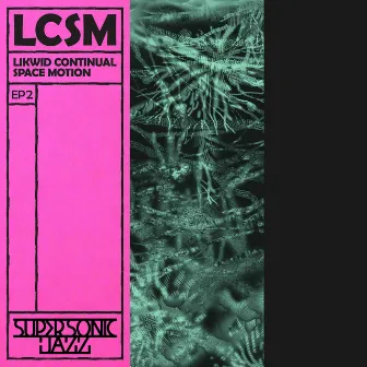 EP2 by LCSM (Likwid Continual Space Motion)