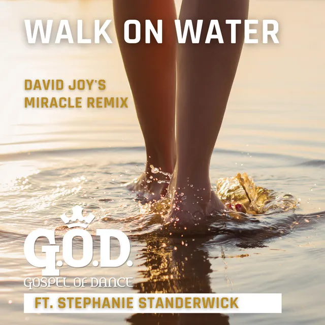 Walk on Water (David Joy's Miracle Remix)