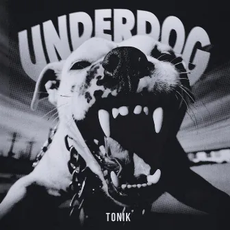 Underdog by Tonik