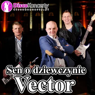 Sen o dziewczynie (Radio Edit) by Vector