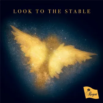 Look to the Stable by Sarah MacDonald