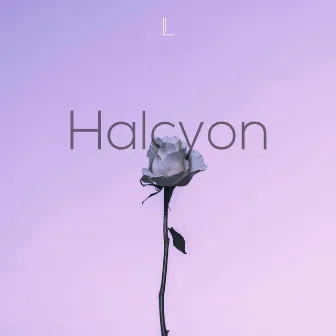 Halcyon by Lockd