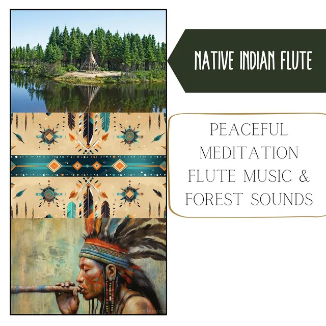 Peaceful Meditation Flute Music & Forest Sounds