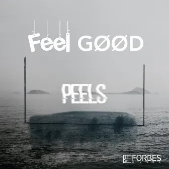 Feel Good by Peels