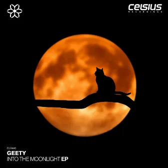 Into The Moonlight EP by Geety