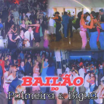 Bailão do Palmeira & Biguá by Palmeira e Biguá