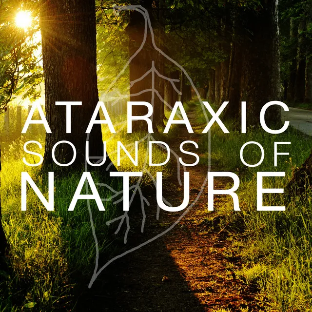 Ataraxic Sounds of Nature