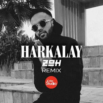 Harkalay (ZOH Remix) by Zahoor