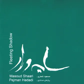 Fleeting Shadow by Masoud Shaari