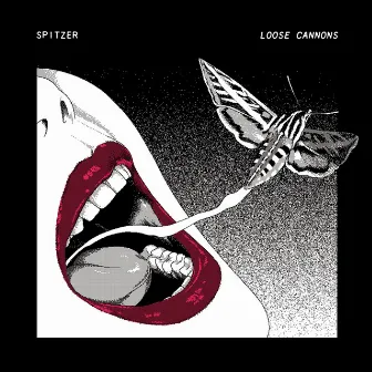 Loose Cannons by Spitzer