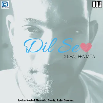 Dil Se by Kushal Bharatia