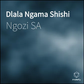 Dlala Ngama Shishi by Ngozi SA