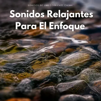 Sonidos De Una Corriente Calma: Sonidos Relajantes Para El Enfoque by Paisaje sonoro de agua goteando