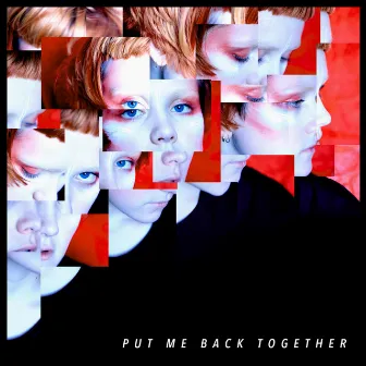 Put Me Back Together by Lupa J